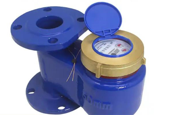 遠傳水表的型號和尺寸怎么選？ 圖2